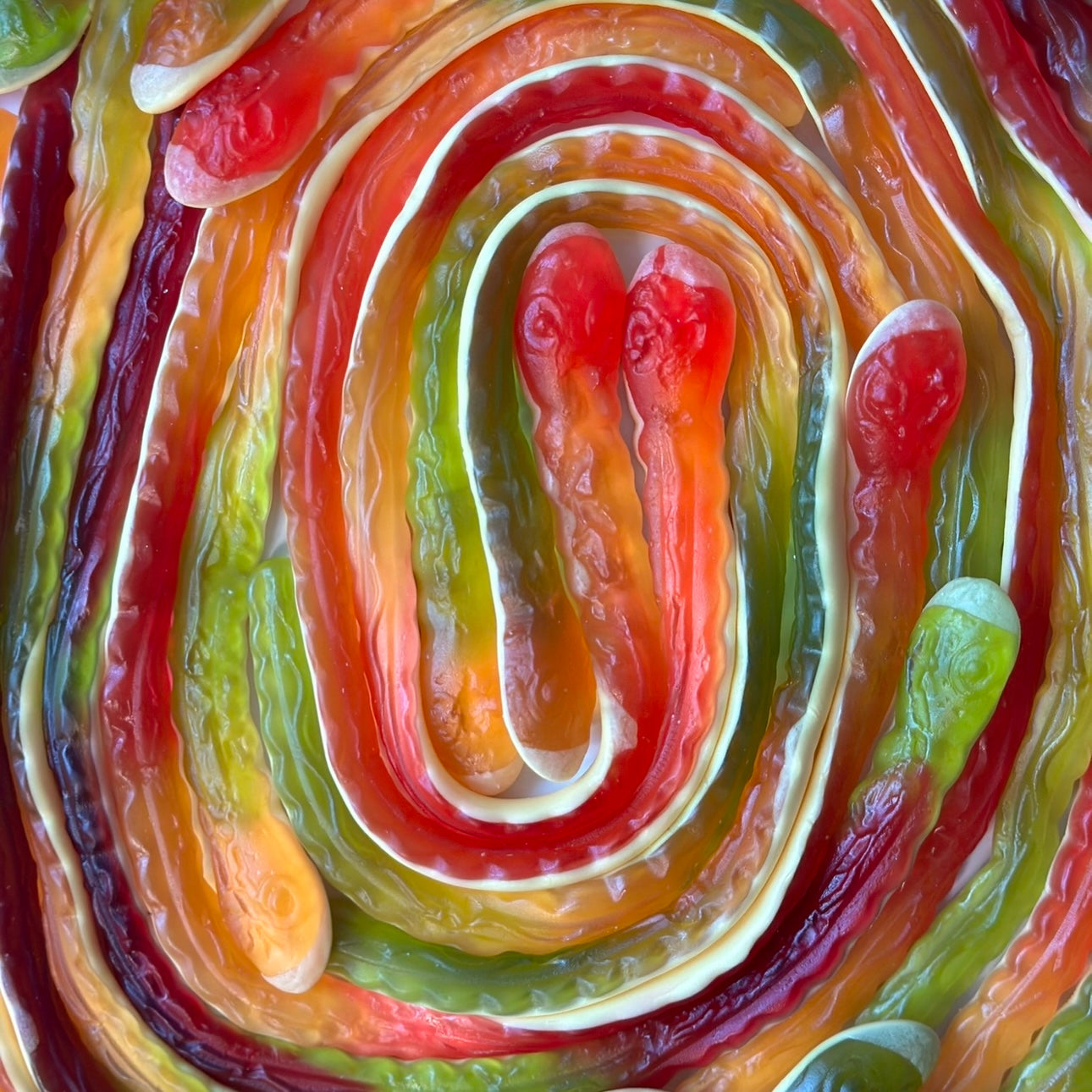 Yellow Belly Snakes (HARIBO)